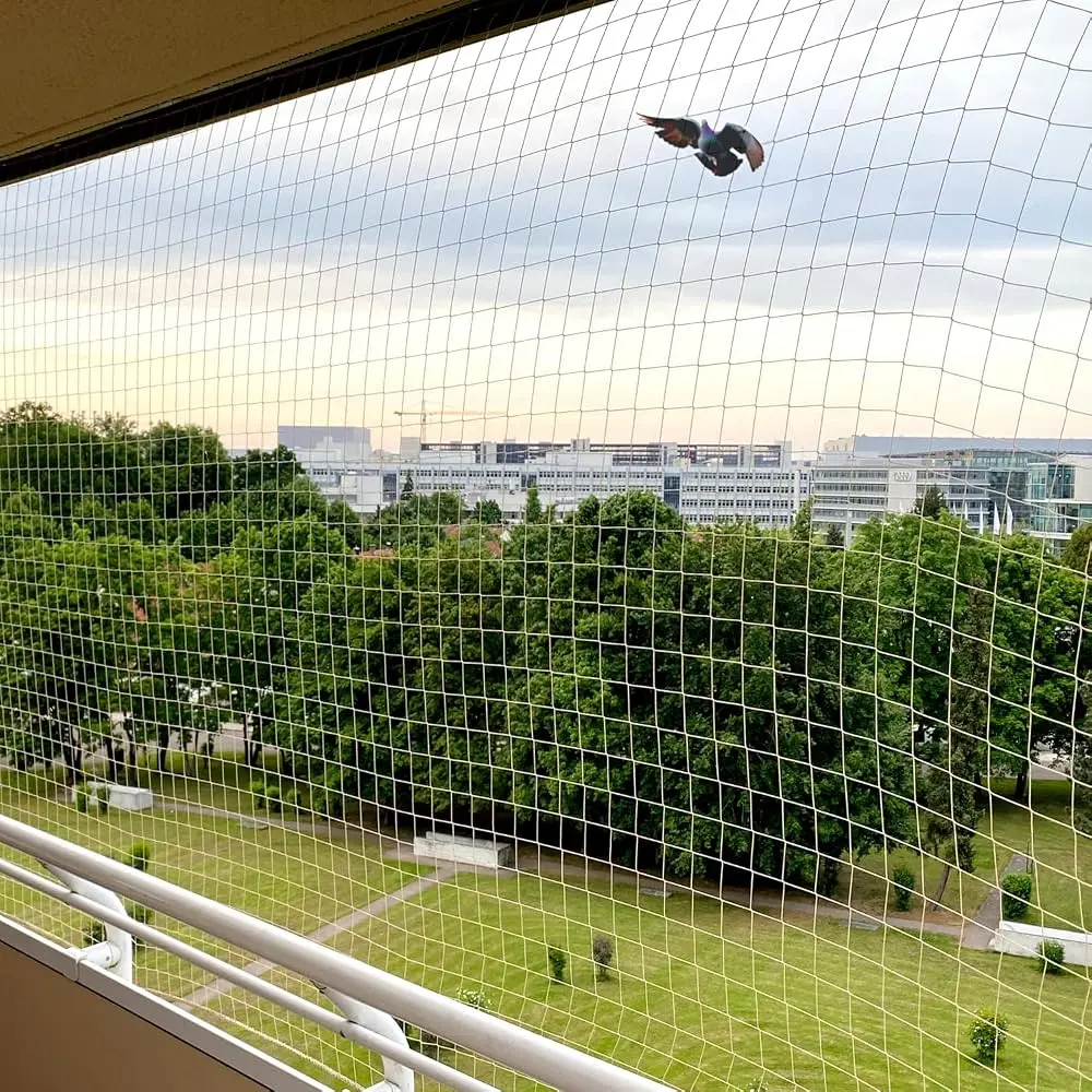 Pigeon & Bird Netting installation in Andhra Pradesh