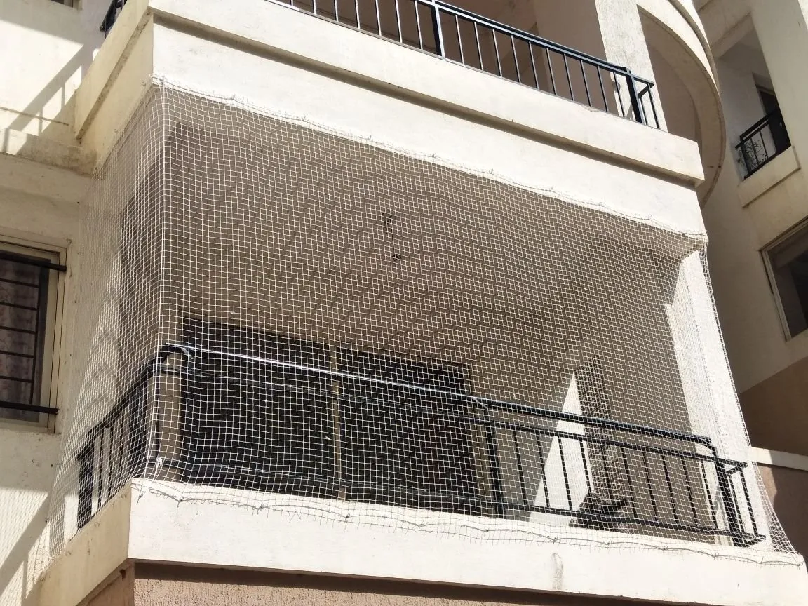 Pigeon & Bird Netting installation in Andhra Pradesh — photo 3