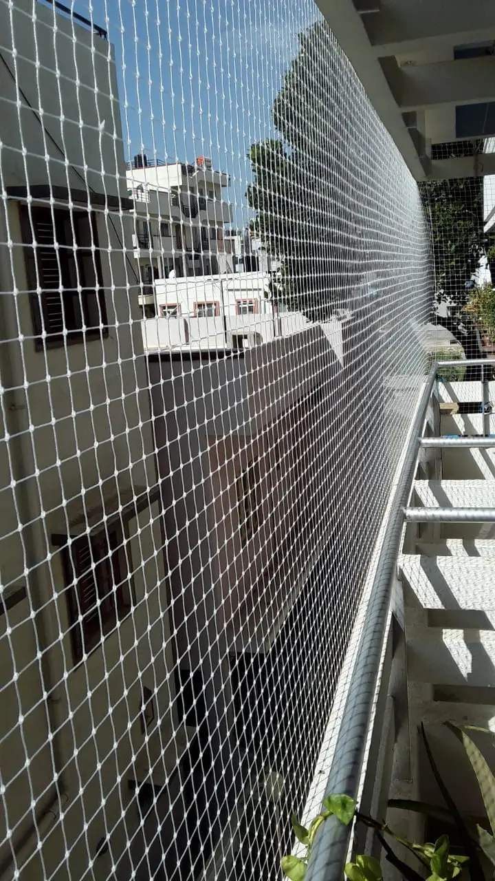 Pigeon & Bird Netting installation in Andhra Pradesh — photo 4